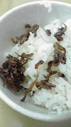 P1008.JPG