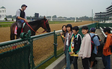 競馬場で早朝トレーニングを見学できました！