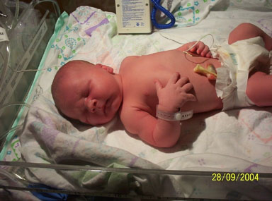 ブライアンジュニア