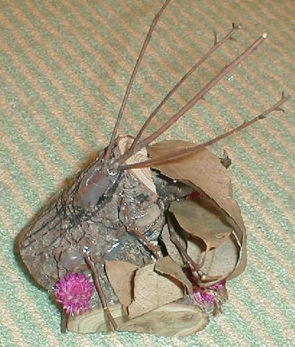 夏休みの作品