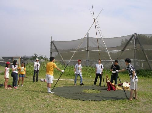 tipi 6