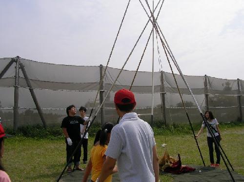 tipi 7