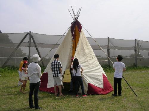 tipi-12