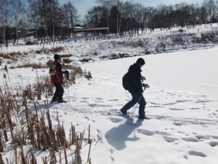凍った池の上も歩けます