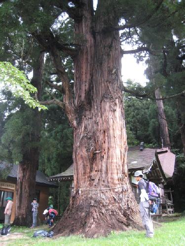 神社