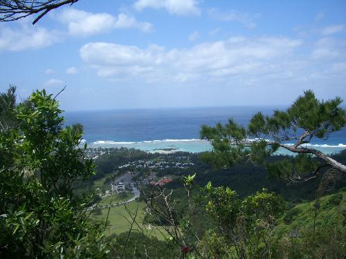 県民の森からのの海