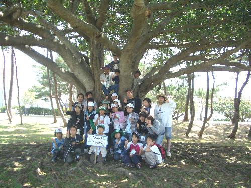 平和k祈念公園ガジュマロの木の下で