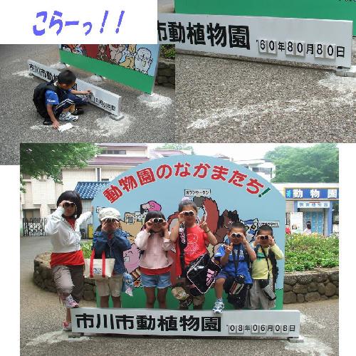 デイキャンプ５