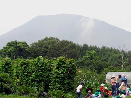 芋ほりコースから黒姫山を望みましょう