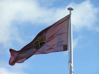 RADFORD COLLEGE FLAG