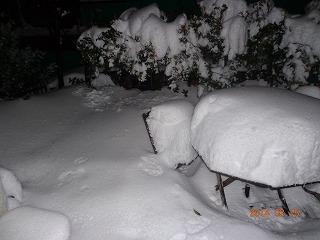 雪が降った！！すごーく積もった！！