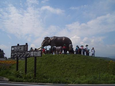 あ！！ナウマン象だ！！