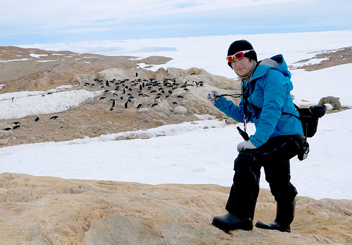 南極でのペンギンセンサスの様子。ペンギンルッカリー（集団営巣地／ペンギンが卵を産んで、子育てをする場所）で，ペンギンの個体数や巣営数を計測する。