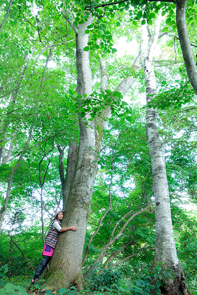 新緑の中で「セルフカウンセリング」。お気に入りの木を見つけてひとりで過ごす時間