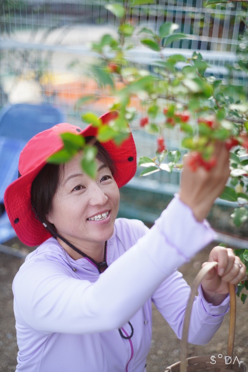 森　瑞穂 テューター