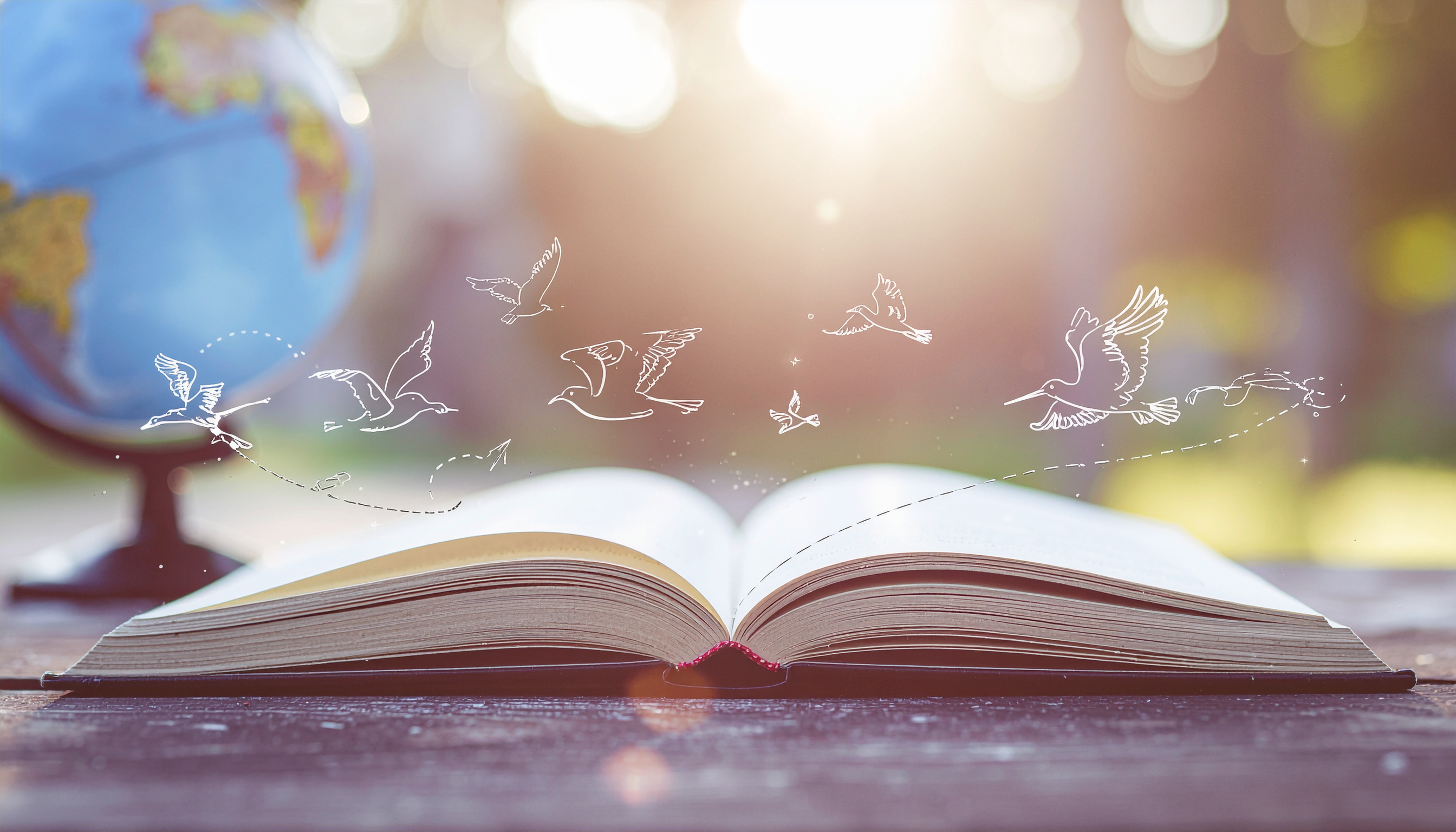 なぜ「たくさん」が大切なのか？