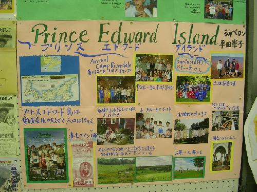 シャペロン報告’０６