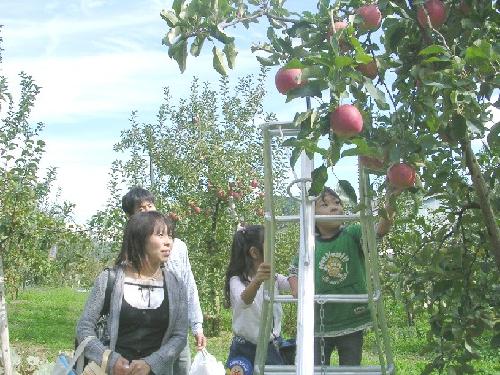 '07りんご園（２）