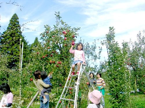 ’０７りんご園（３）