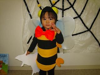 bee