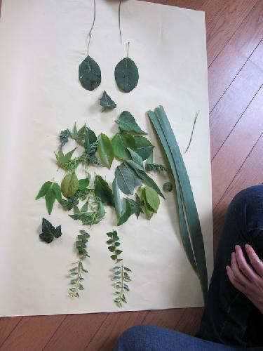 アリときりぎりす