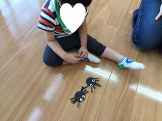 spider1