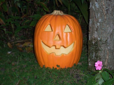 Jack-O'-Lantern in my garden