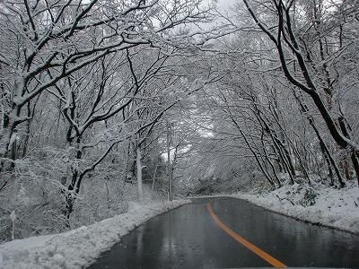 hakone-1