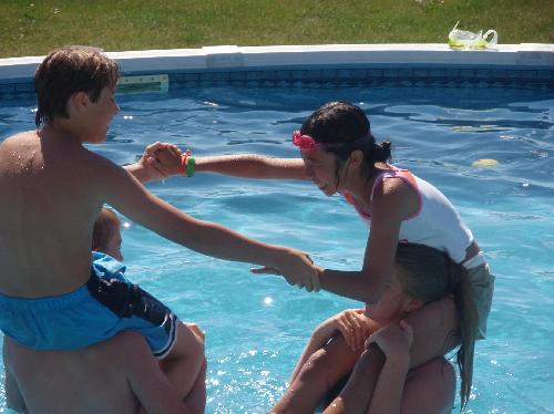 やまとなでしこ！？