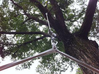 ハンモックから