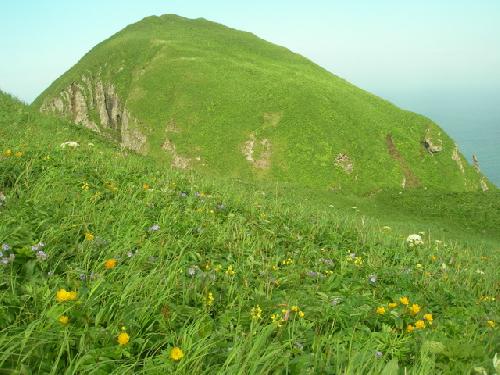 桃岩フラワーロード