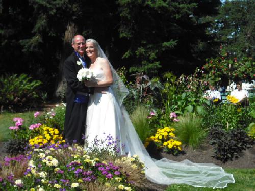 日本から持ってきたヴェール