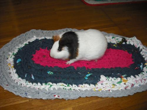 mottainai-mat-with-nono-chan