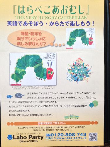 あおむしチラシ