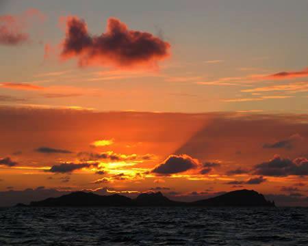 夕焼け金魚