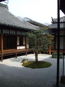 建仁寺の椿
