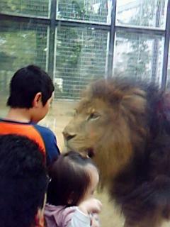 ライオン