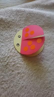 ladybird
