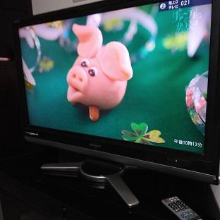 piglet