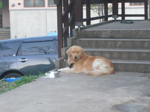 トンチン3前のティム