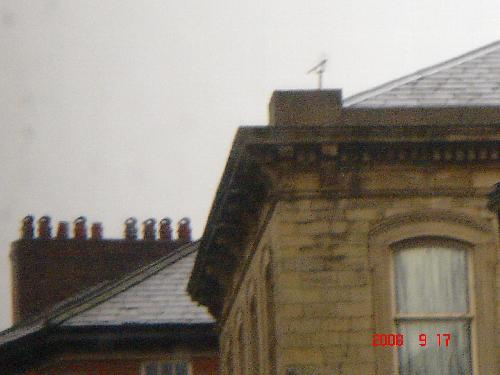 チムニーポット1