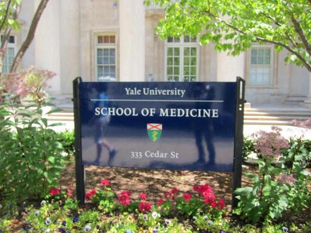 Ｙａｌｅ２