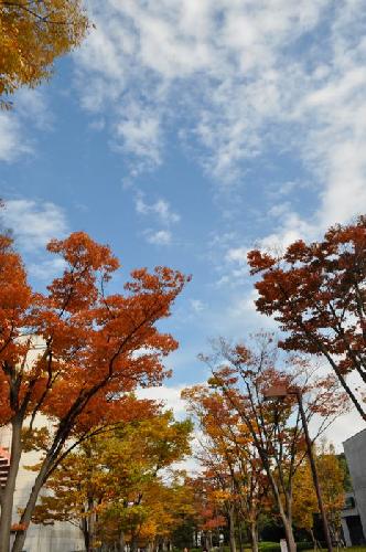 首都大学1