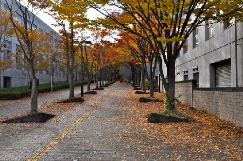 首都大学2