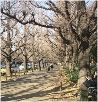 jingugaien13