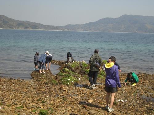 島探検浜辺