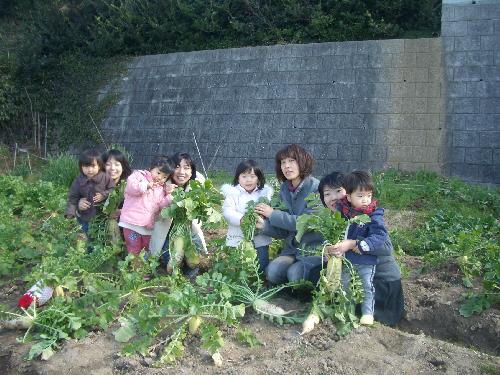 プレイルーム大根引き