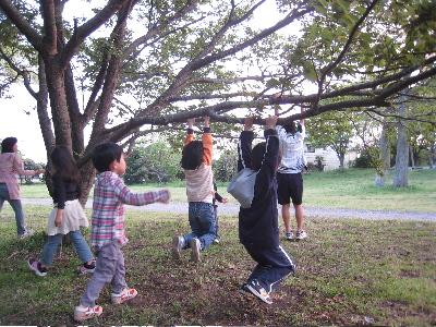 2008幼児2