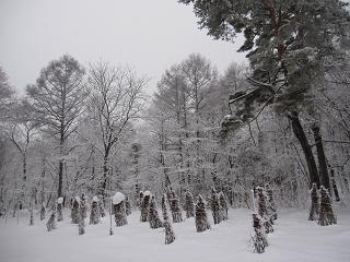 labo winter camp 2013 3