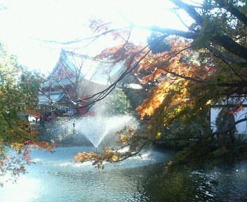 井の頭公園（弁財天）の紅葉